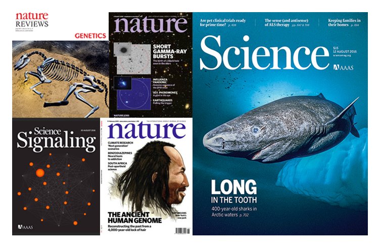 Scientific Publication